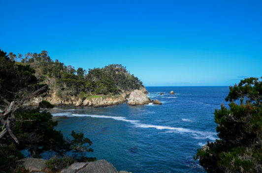 Point-Lobos-whale-cove