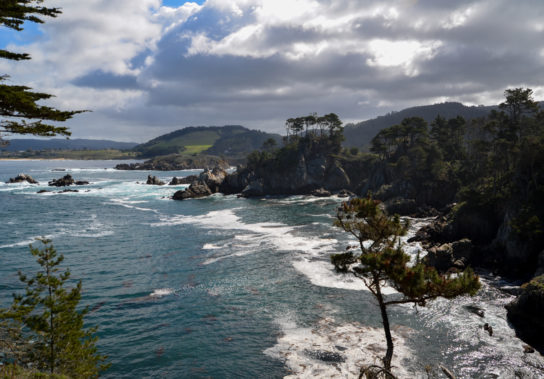 Point-Lobos-coast