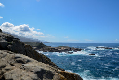 Point-Lobos-coast-rocks