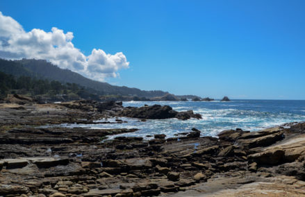Point-Lobos-coast-rocks
