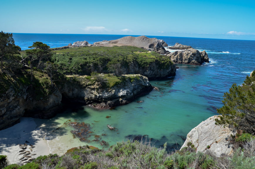 Point-Lobos-seals-cove-ensemble