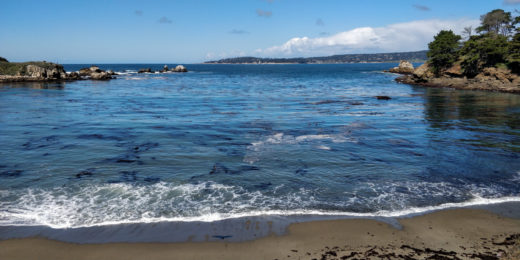 Point-Lobos-beach-waves