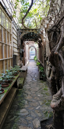 Point-Lobos-Carmel-hidden-path