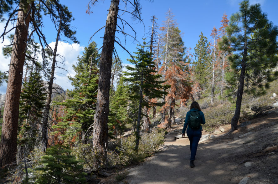 Yosemite-sentinel-dome-trail-pauline
