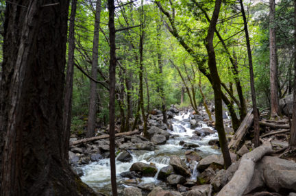 Yosemite-bridalveil-falls-stream