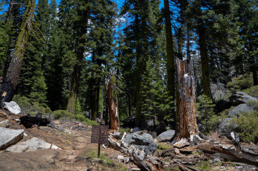 Yosemite-upper-falls-trails