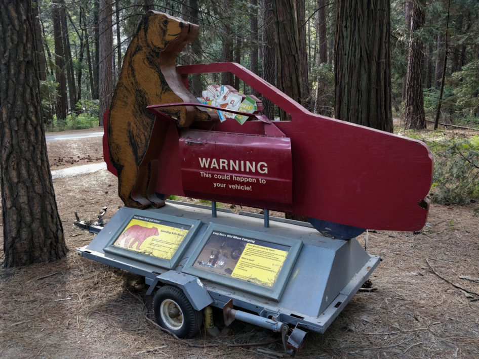 Yosemite-warning-bear