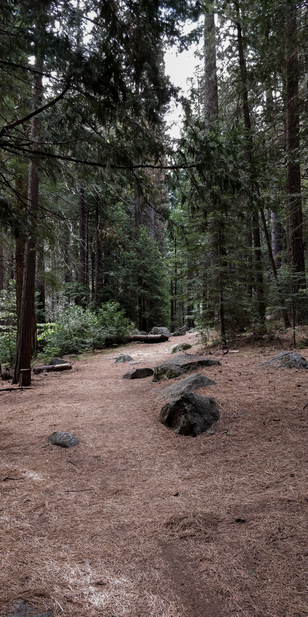 Yosemite-trail-c-w-bound